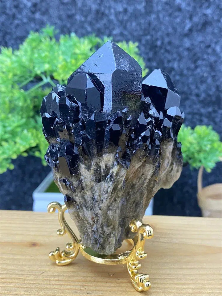 Black Pineapple Crystal Quartz + Shelf