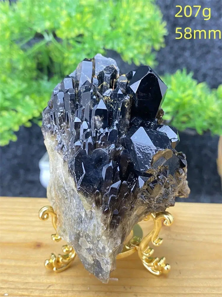 Black Pineapple Crystal Quartz + Shelf