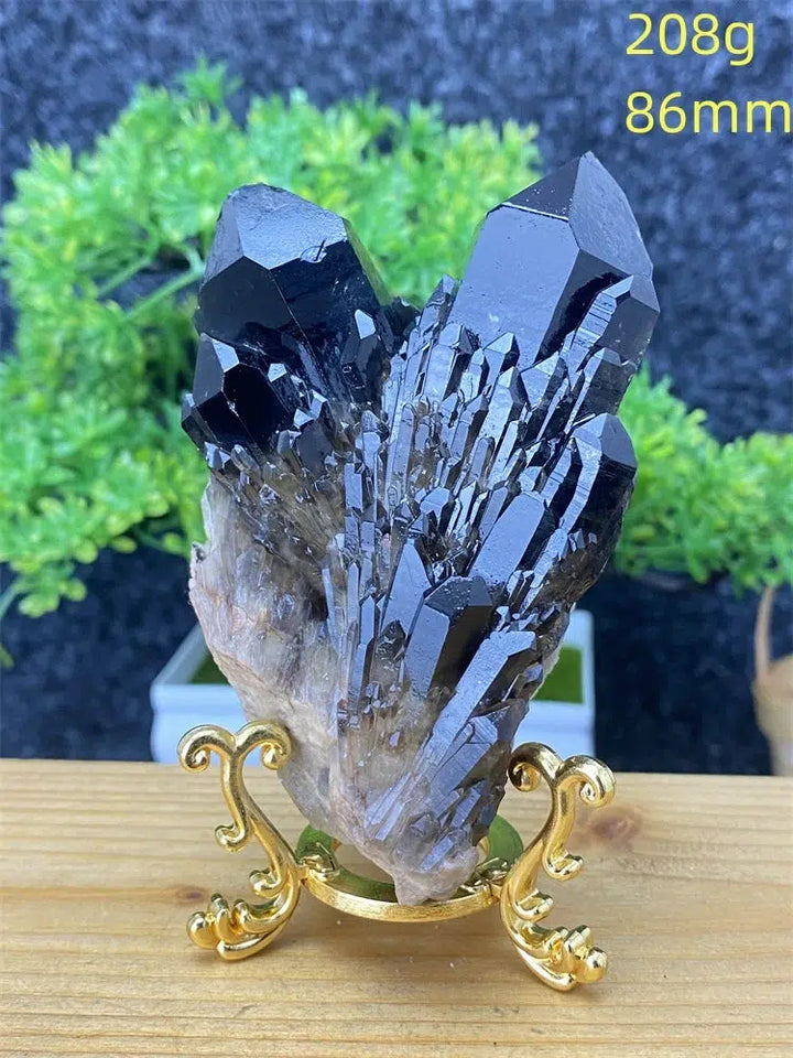 Black Pineapple Crystal Quartz + Shelf