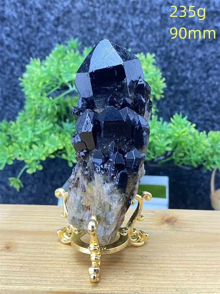 Black Pineapple Crystal Quartz + Shelf