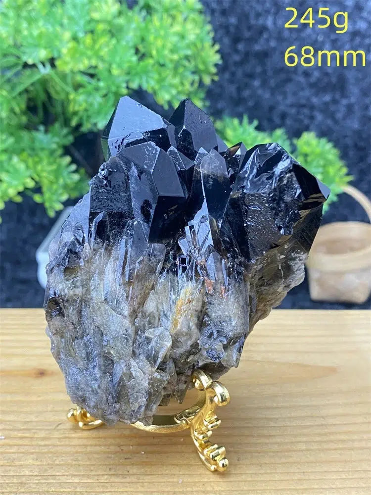 Black Pineapple Crystal Quartz + Shelf