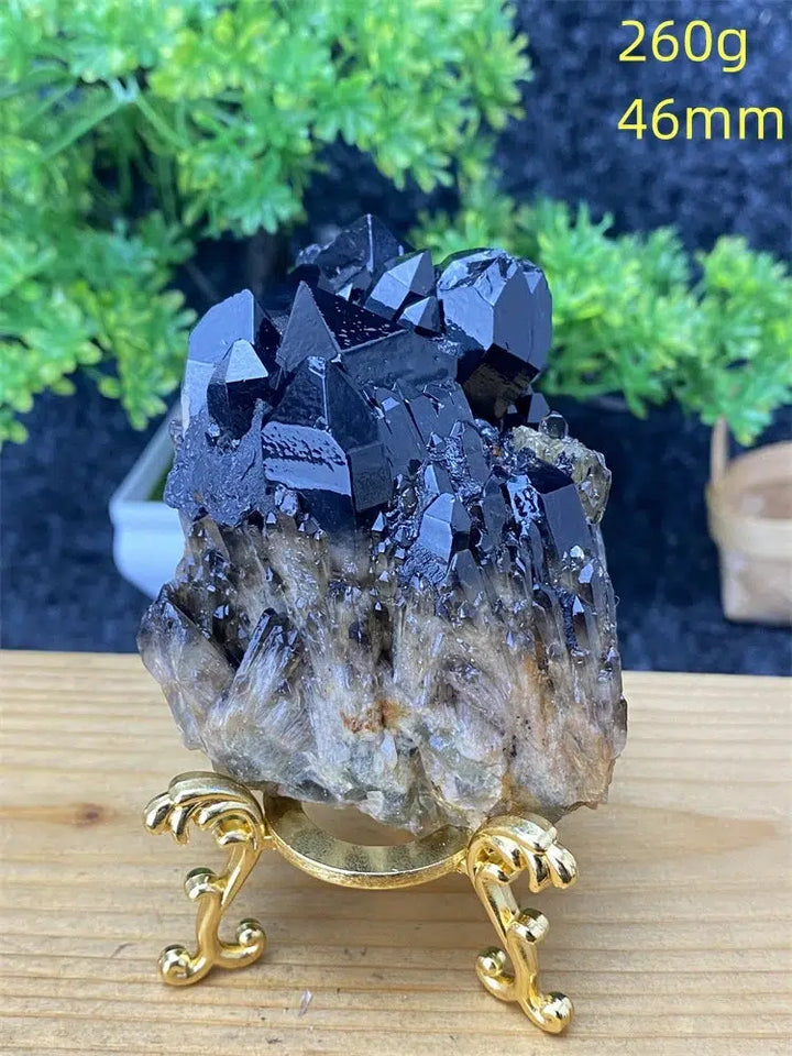 Black Pineapple Crystal Quartz + Shelf