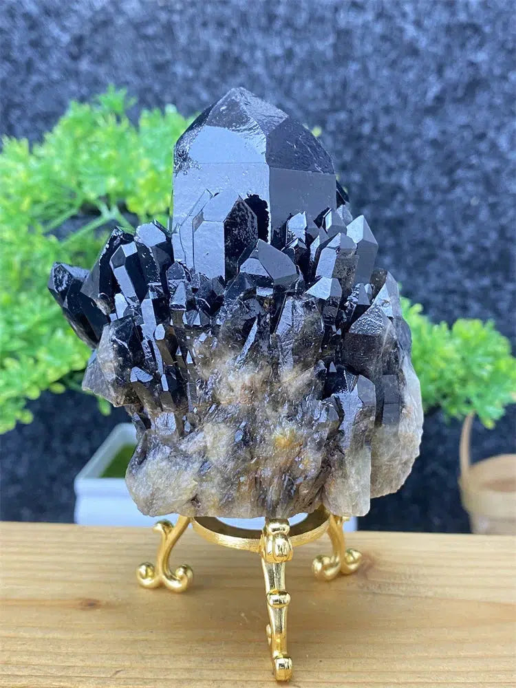 Black Pineapple Crystal Quartz + Shelf