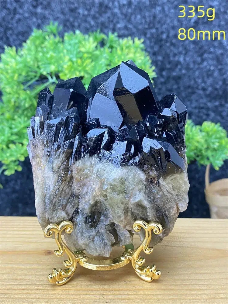 Black Pineapple Crystal Quartz + Shelf