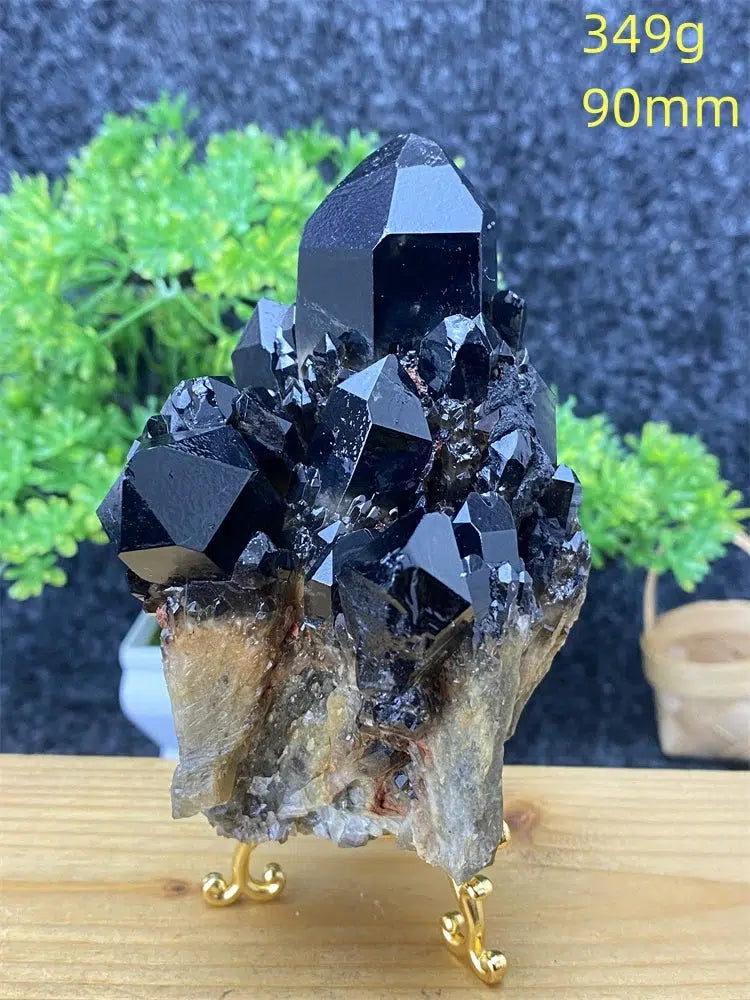 Black Pineapple Crystal Quartz + Shelf