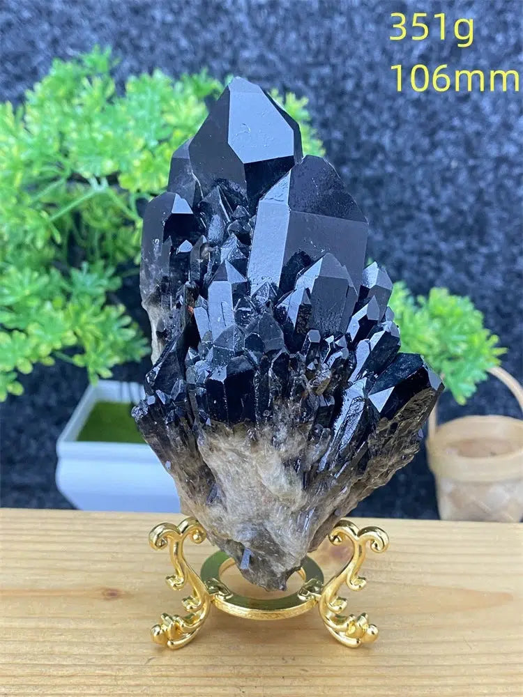 Black Pineapple Crystal Quartz + Shelf