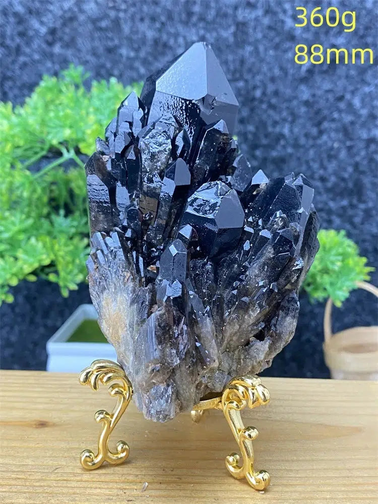 Black Pineapple Crystal Quartz + Shelf