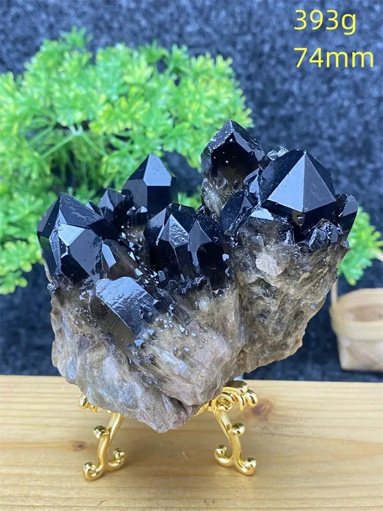 Black Pineapple Crystal Quartz + Shelf