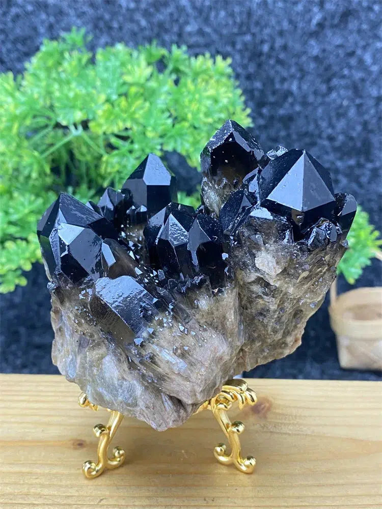 Black Pineapple Crystal Quartz + Shelf