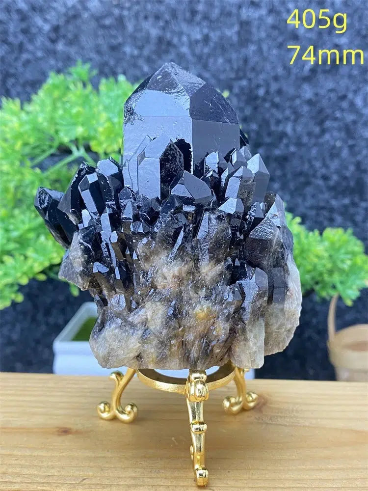 Black Pineapple Crystal Quartz + Shelf