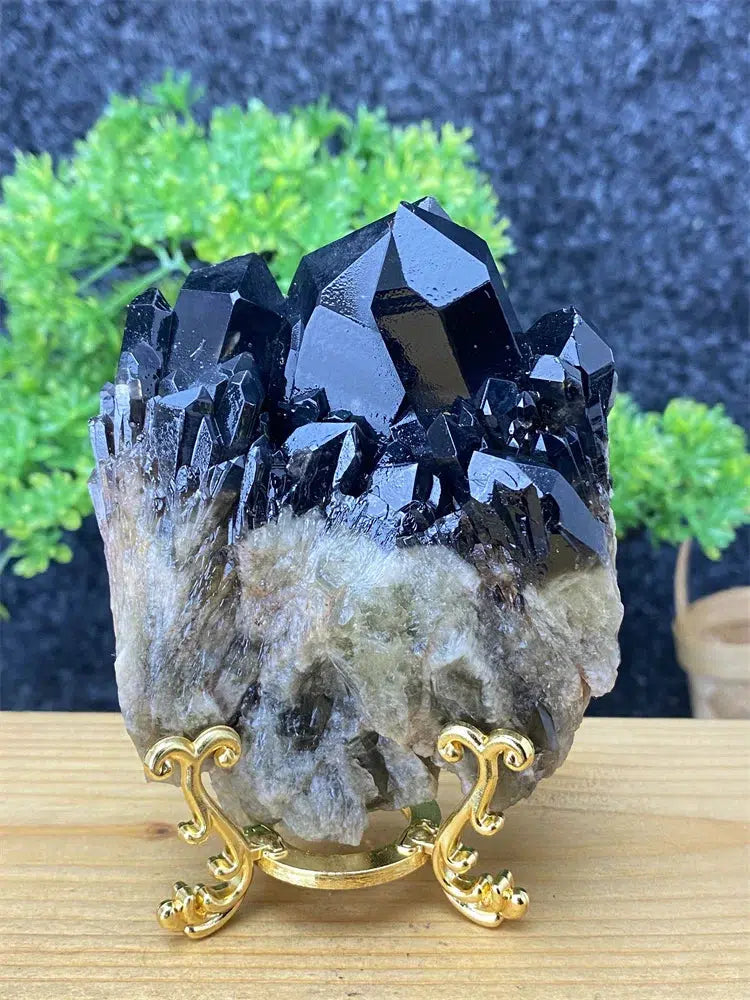 Black Pineapple Crystal Quartz + Shelf