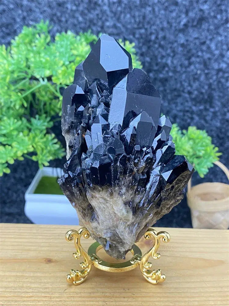 Black Pineapple Crystal Quartz + Shelf