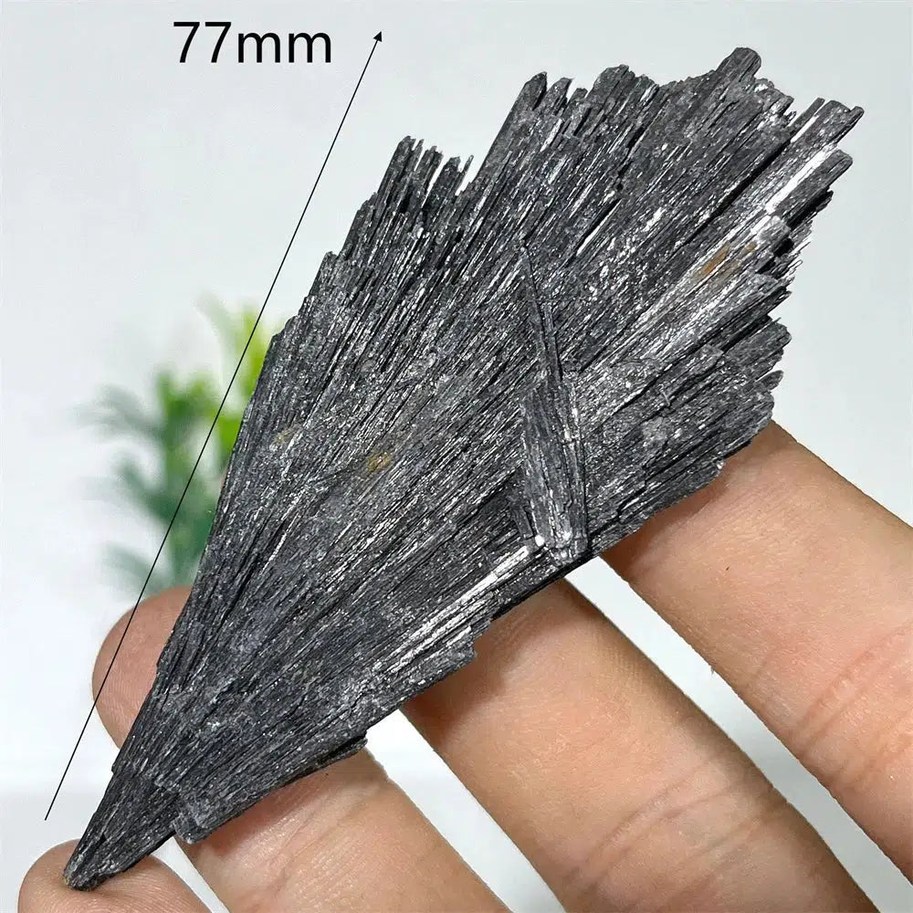 Black Tourmaline Feather