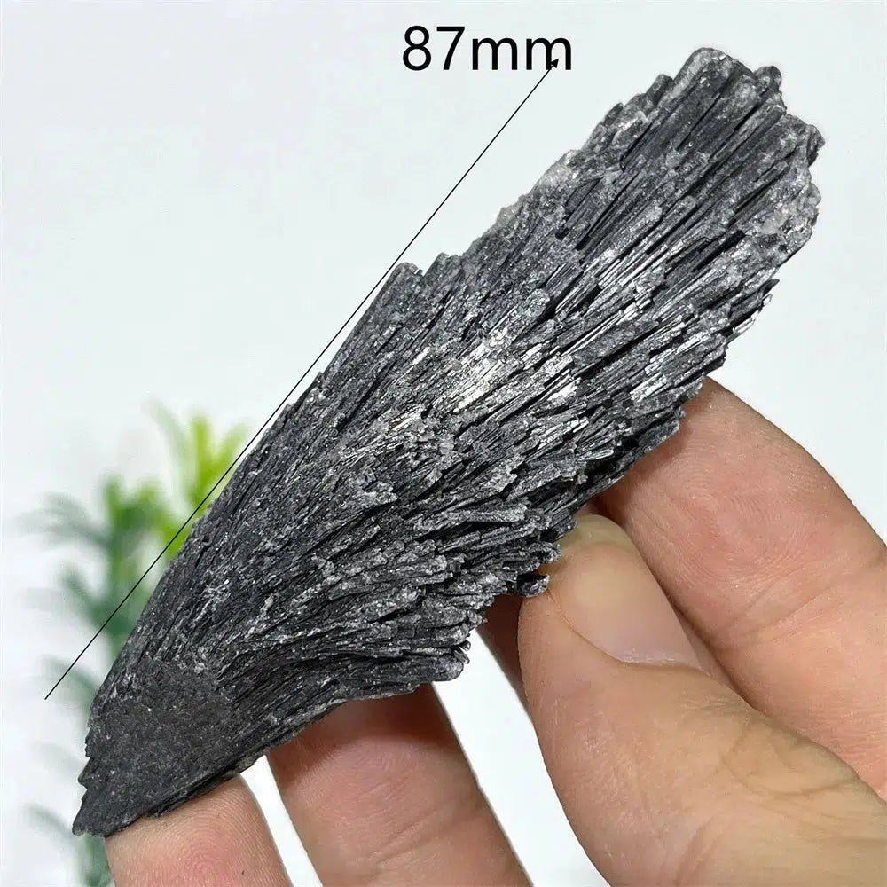 Black Tourmaline Feather