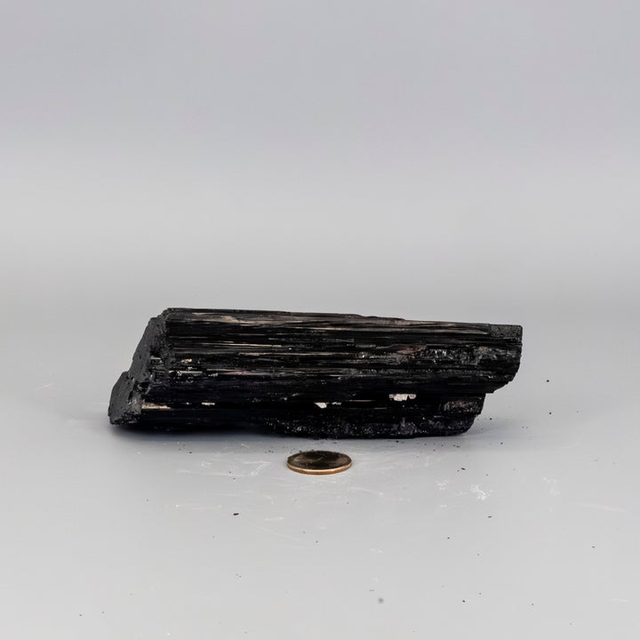 Black Tourmaline Hunk - Elongated (588g)-Raw-Crystal Destiny-Black Tourmaline-588g - 6.25" x 2.50" x 1.50'-Crystal Destiny
