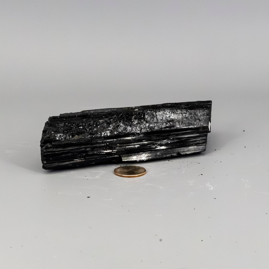 Black Tourmaline Hunk - Elongated (588g)-Raw-Crystal Destiny-Black Tourmaline-588g - 6.25" x 2.50" x 1.50'-Crystal Destiny