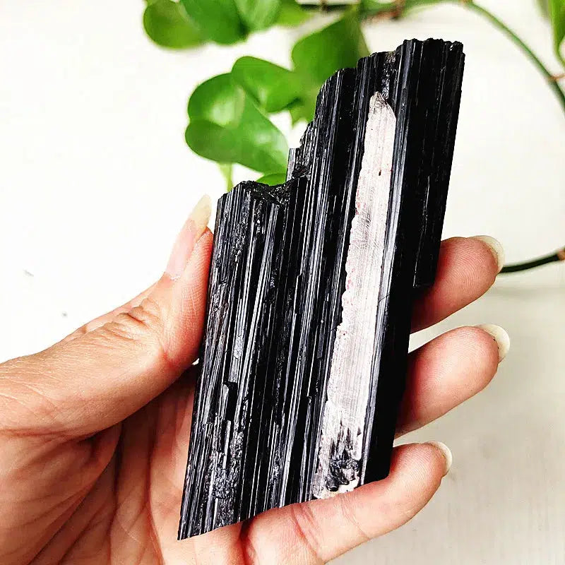 Black Tourmaline Raw Crystal