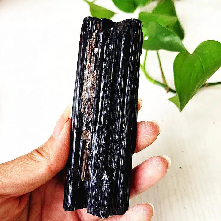 Black Tourmaline Raw Crystal