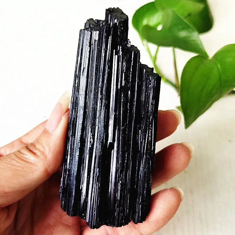 Black Tourmaline Raw Crystal