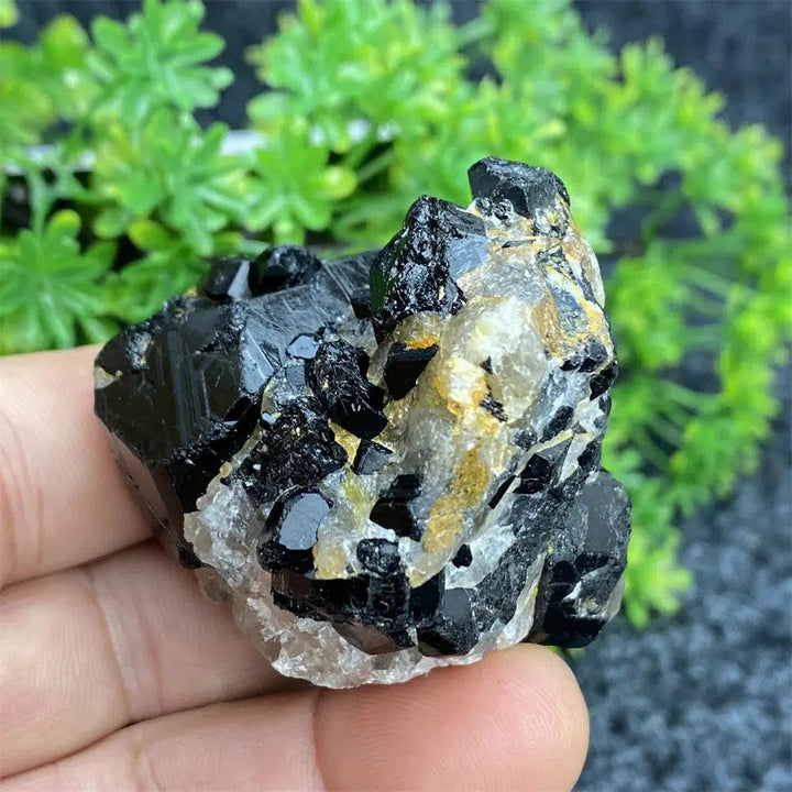 Black Tourmaline Raw Specimen