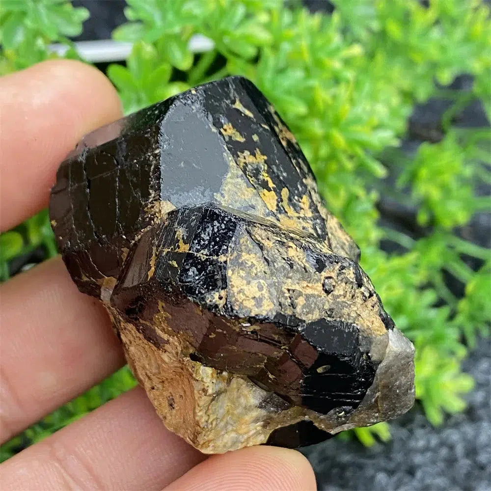 Black Tourmaline Raw Specimen