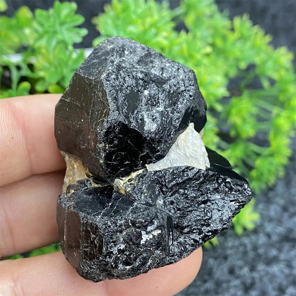 Black Tourmaline Raw Specimen