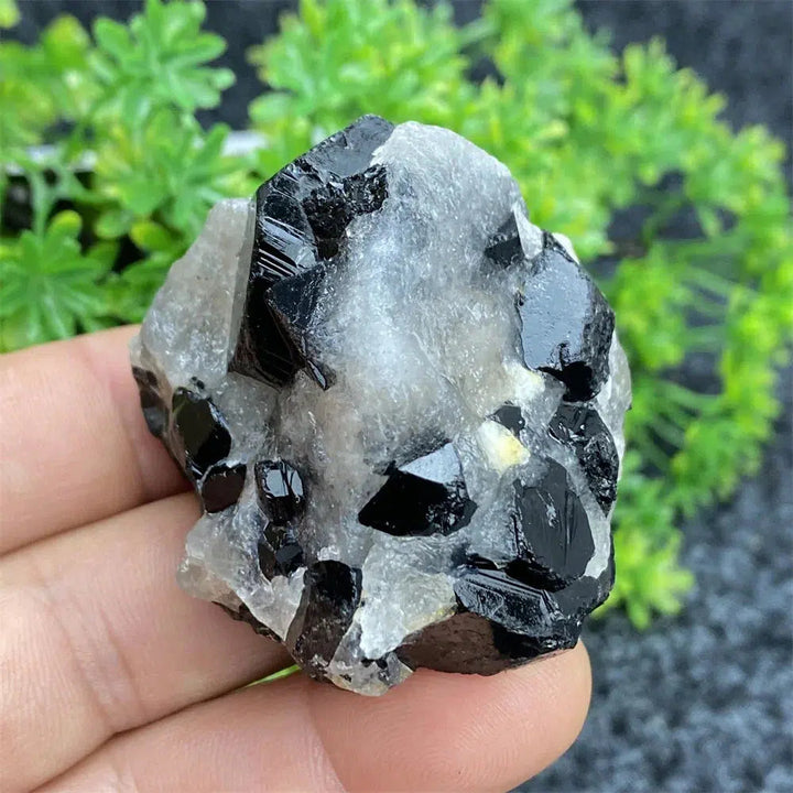 Black Tourmaline Raw Specimen