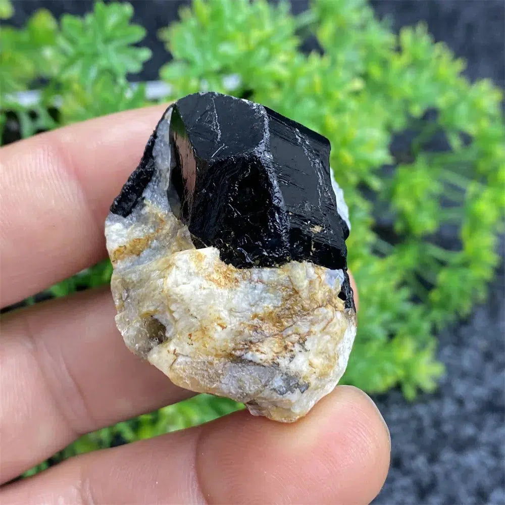 Black Tourmaline Raw Specimen