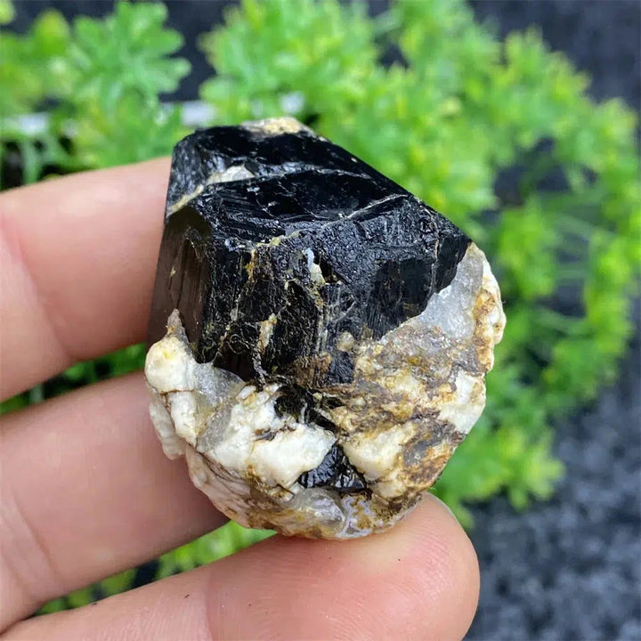 Black Tourmaline Raw Specimen