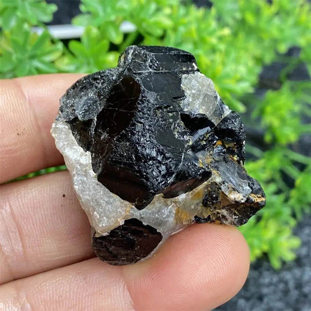 Black Tourmaline Raw Specimen