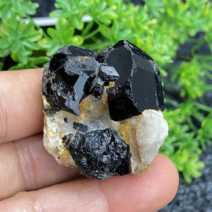 Black Tourmaline Raw Specimen