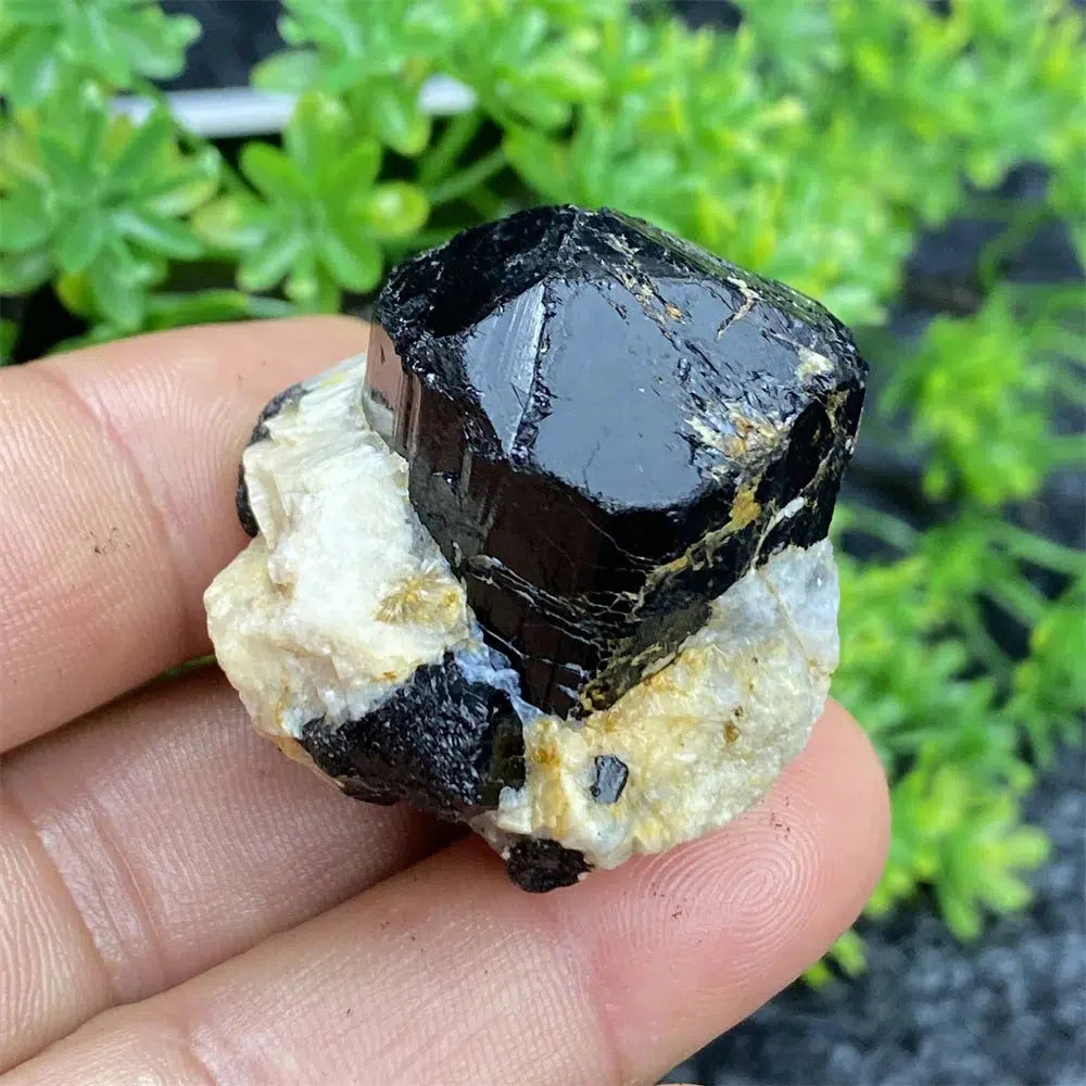 Black Tourmaline Raw Specimen