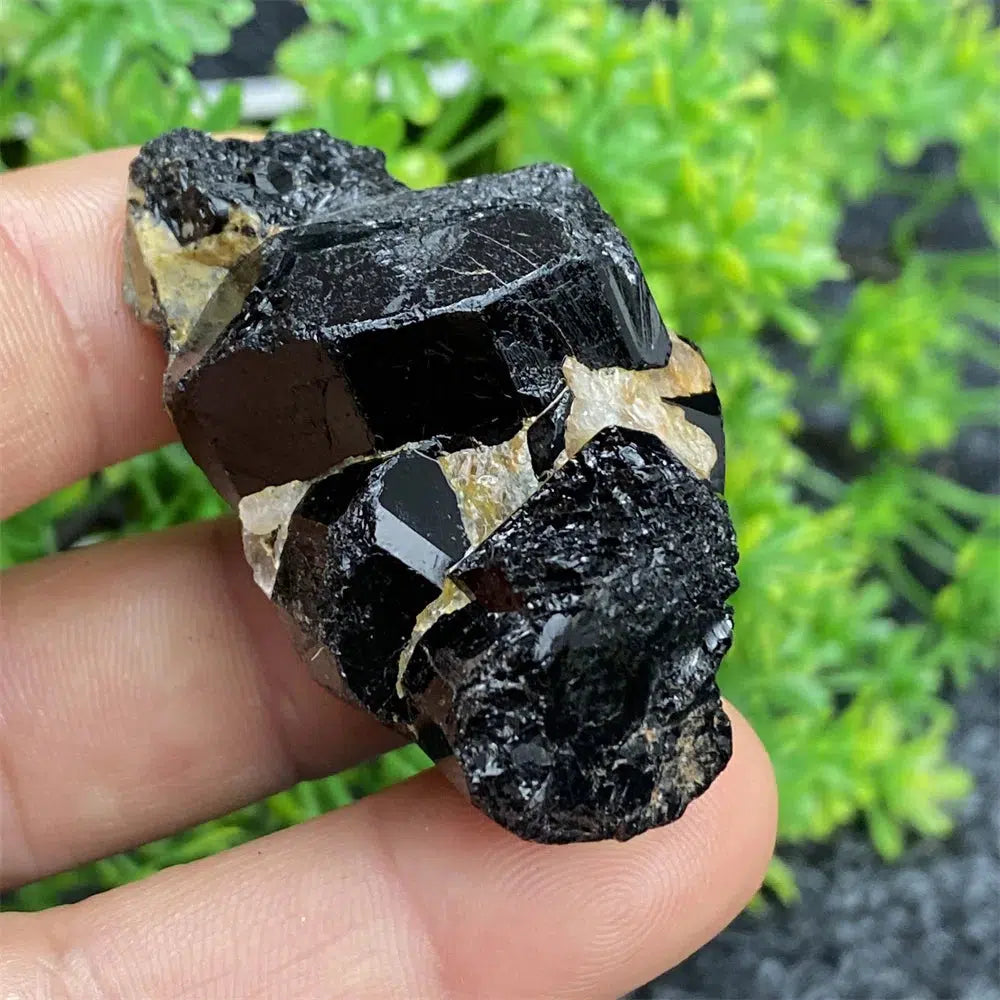 Black Tourmaline Raw Specimen