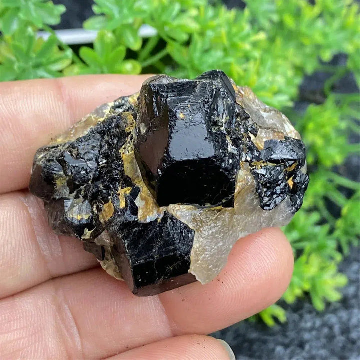 Black Tourmaline Raw Specimen