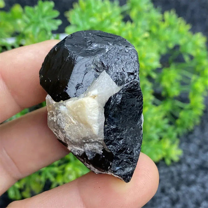 Black Tourmaline Raw Specimen