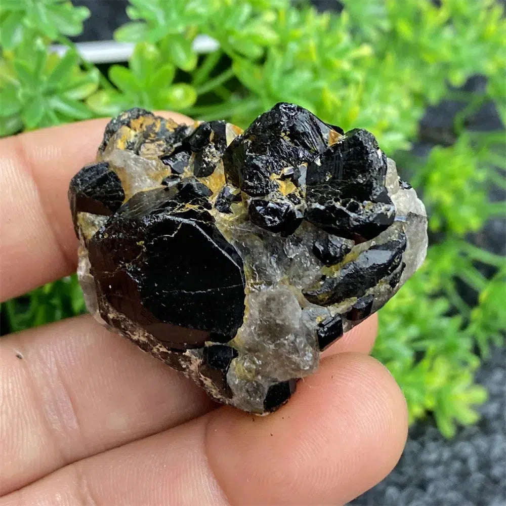 Black Tourmaline Raw Specimen