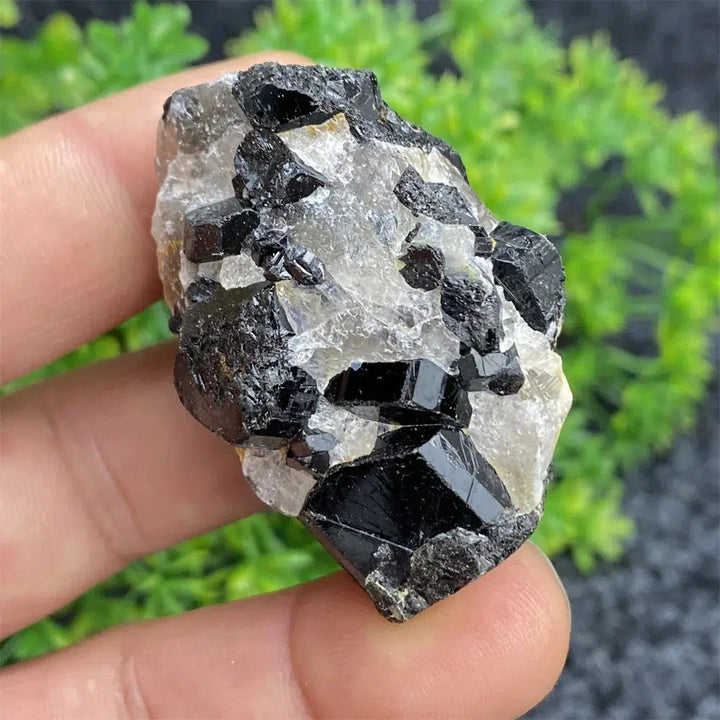 Black Tourmaline Raw Specimen