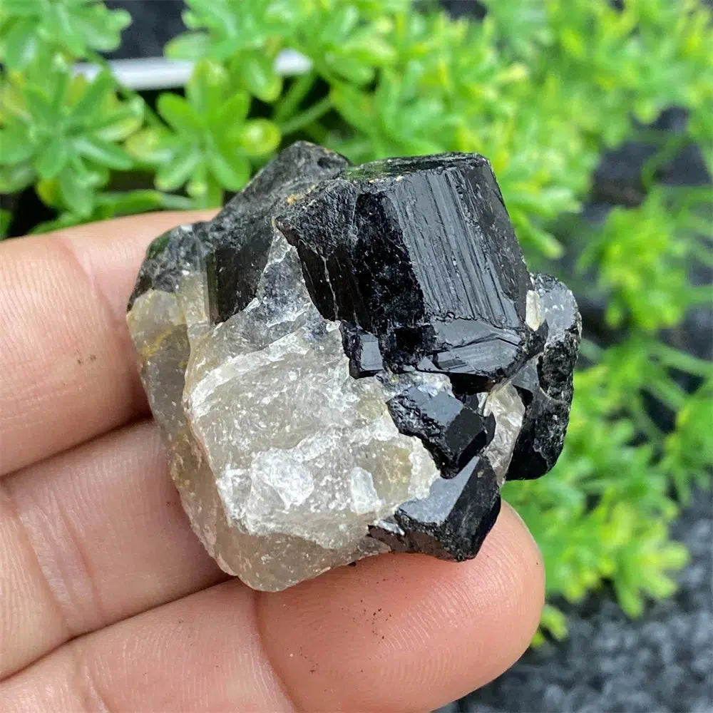 Black Tourmaline Raw Specimen