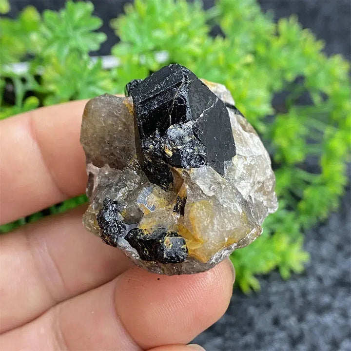 Black Tourmaline Raw Specimen