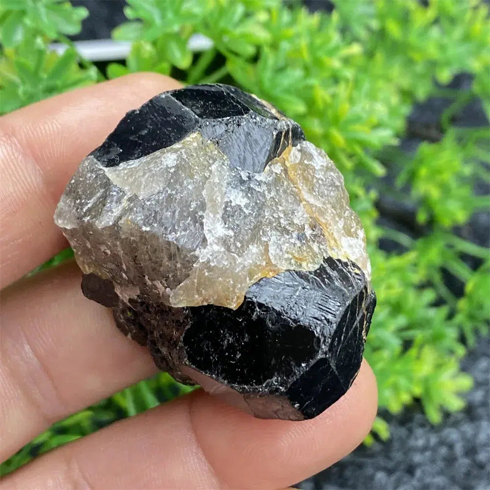 Black Tourmaline Raw Specimen