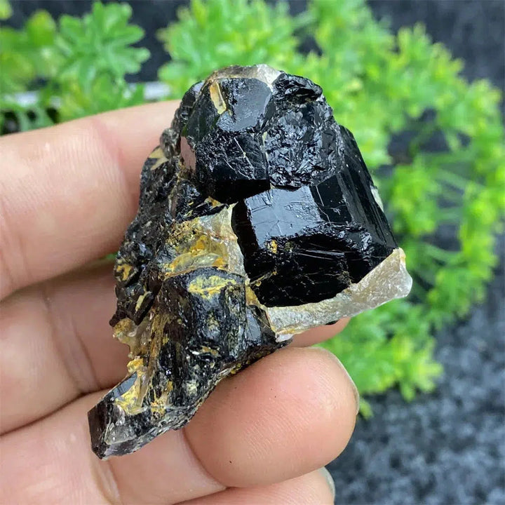 Black Tourmaline Raw Specimen