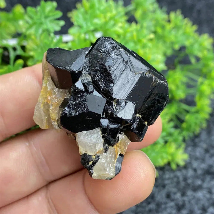 Black Tourmaline Raw Specimen