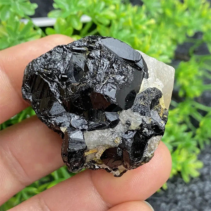 Black Tourmaline Raw Specimen