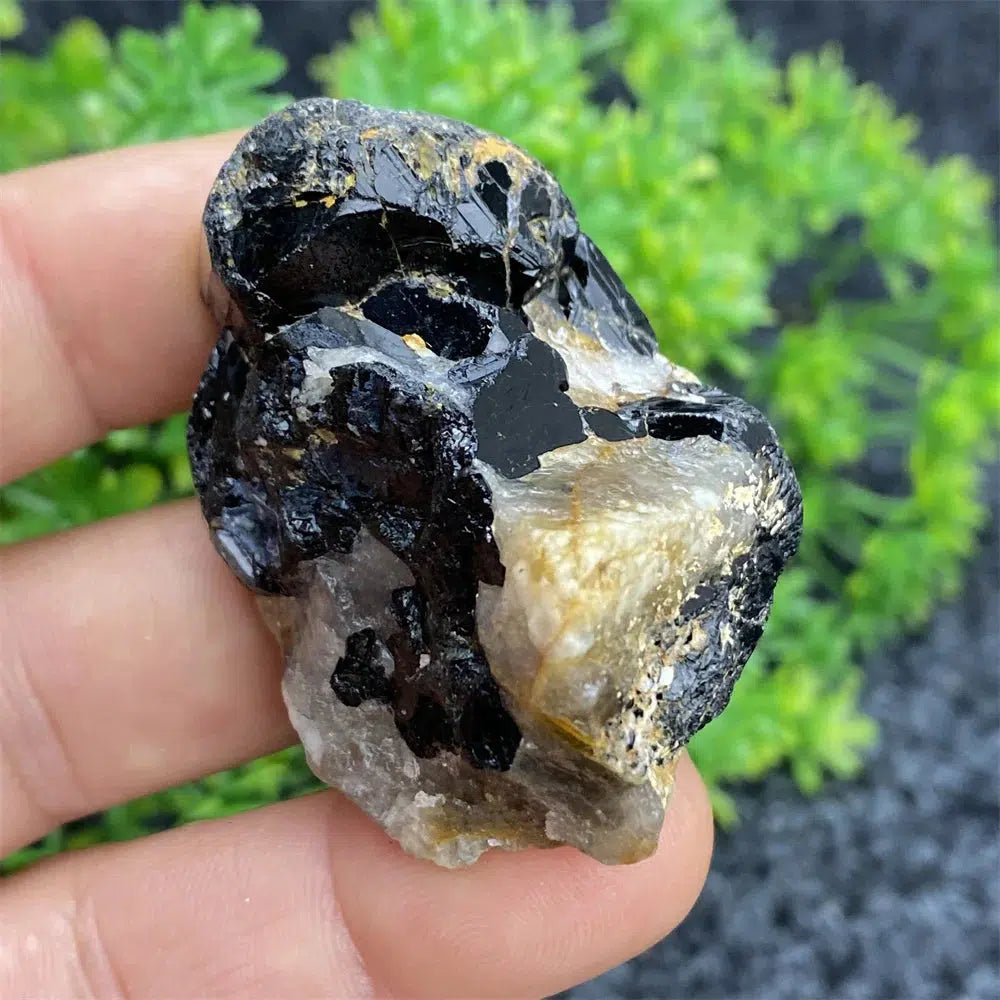 Black Tourmaline Raw Specimen