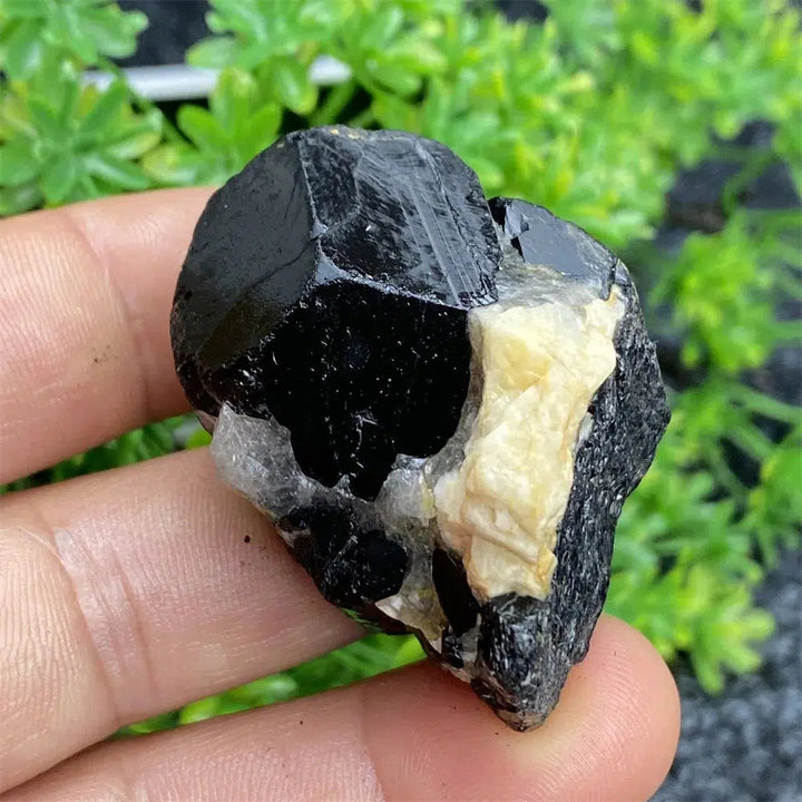 Black Tourmaline Raw Specimen