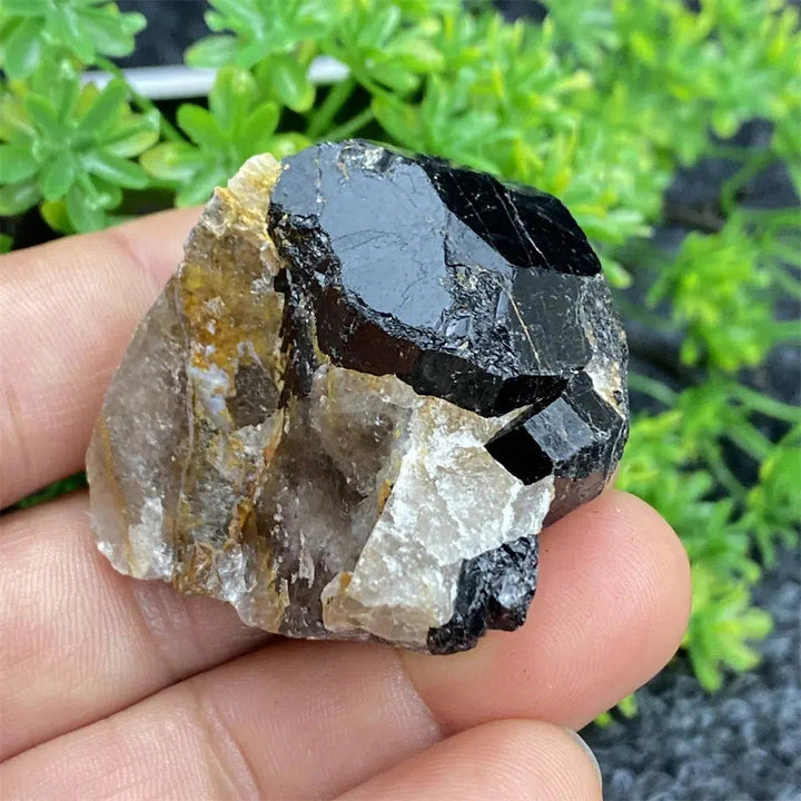 Black Tourmaline Raw Specimen