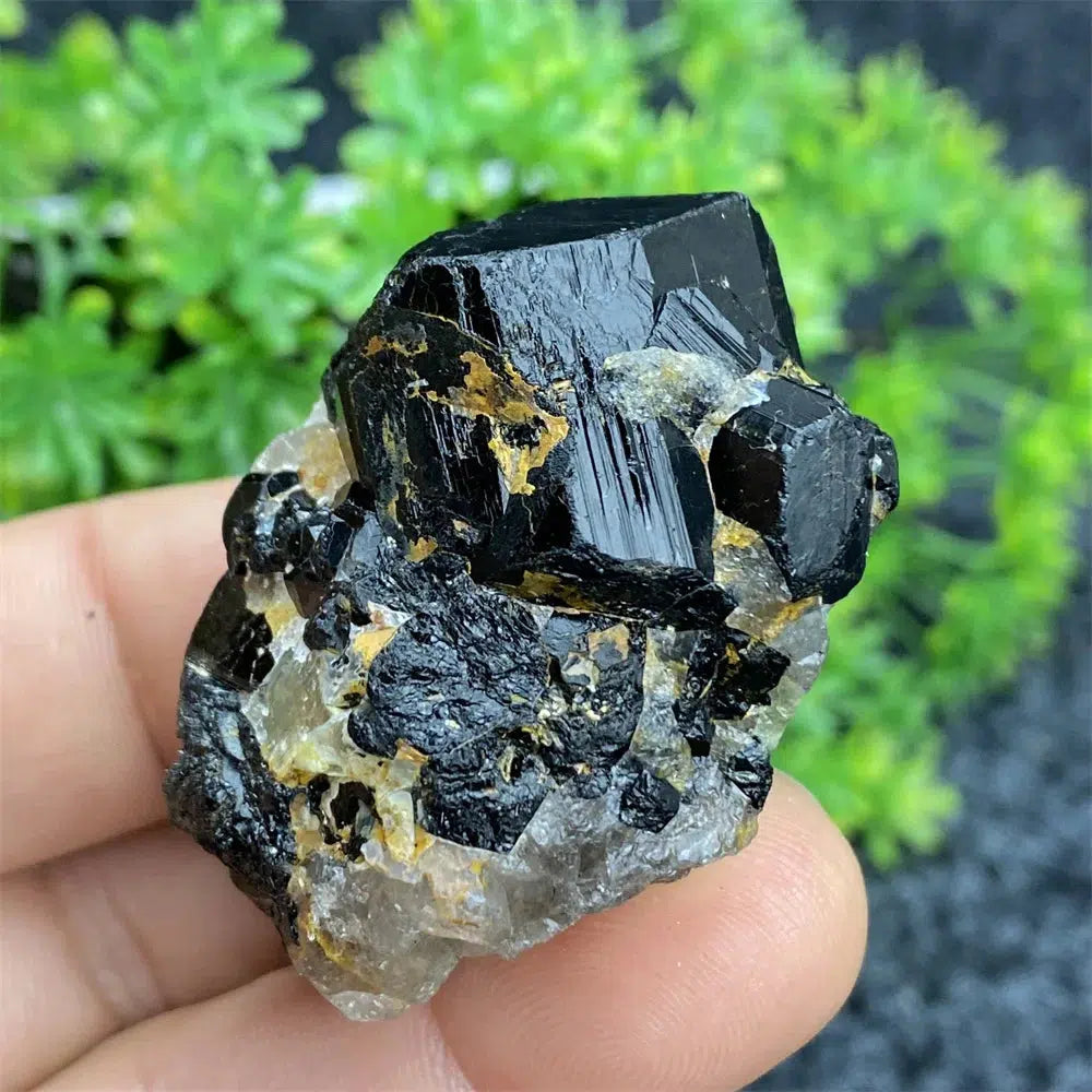 Black Tourmaline Raw Specimen