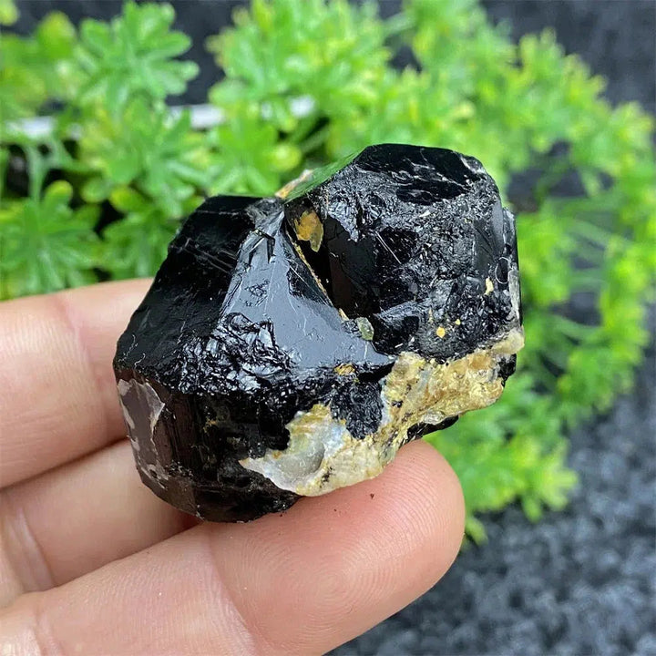 Black Tourmaline Raw Specimen