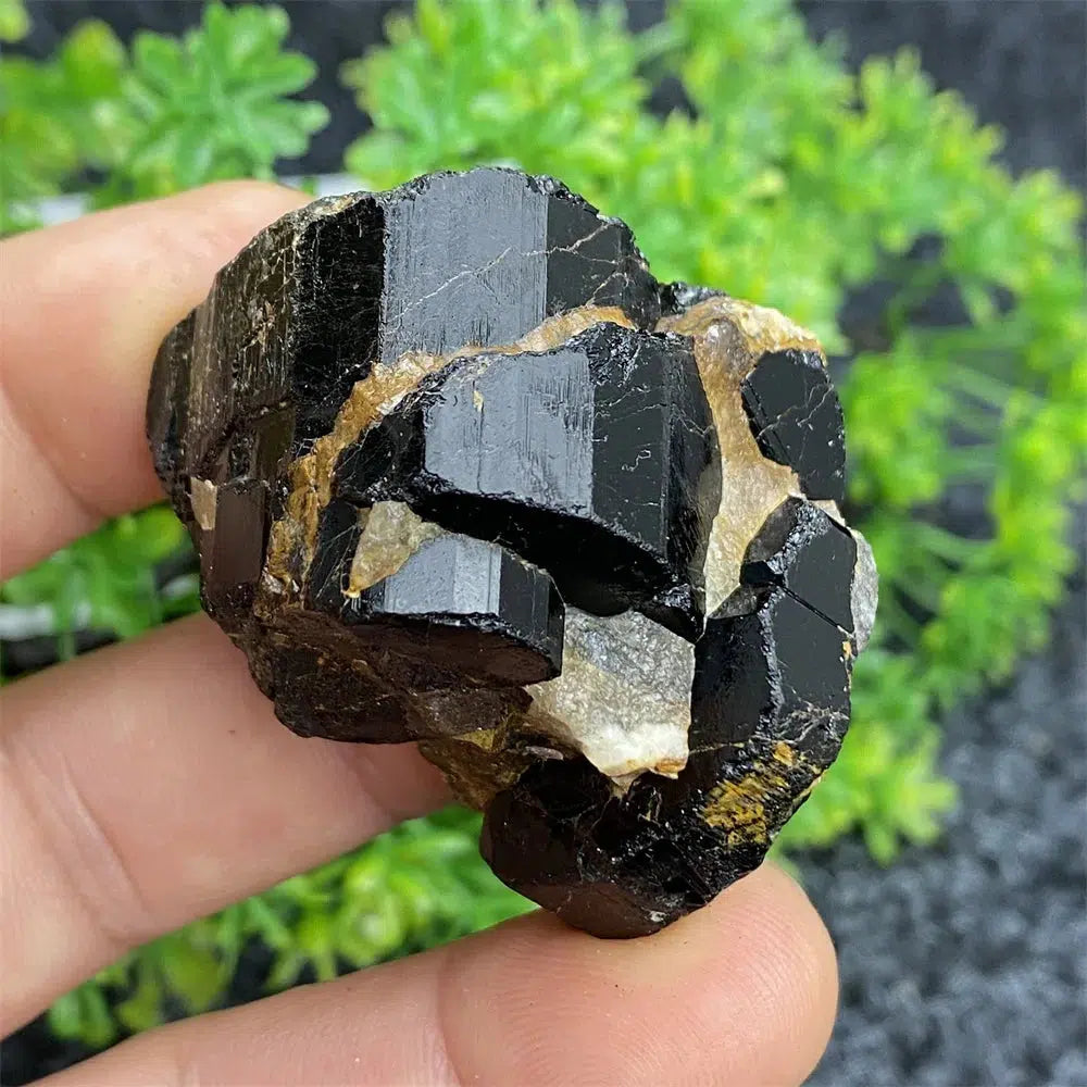 Black Tourmaline Raw Specimen