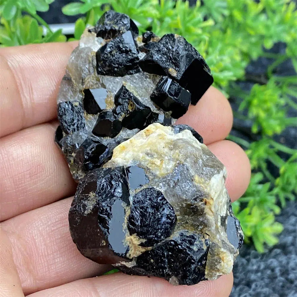 Black Tourmaline Raw Specimen